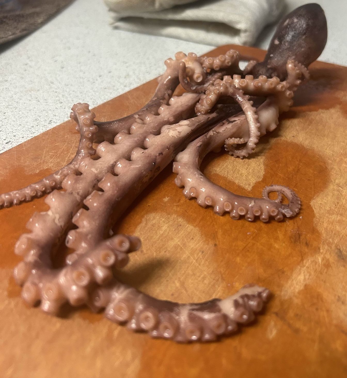 The octopus after boiling! Absolutely delicious and so easy to cook. Also a lot of fun to play with!