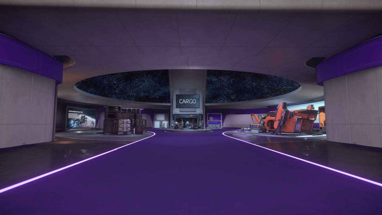 Cargo.

In-Game Screenshot (RAW). Star Citizen Alpha 3.21.1 : 1920x1080p, no post-editing.