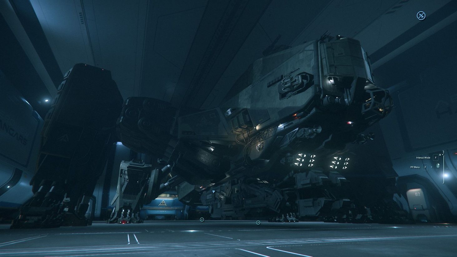 The majestic beetle in all its glory