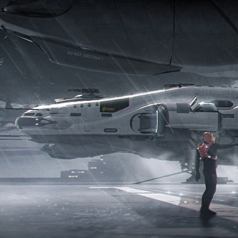 STAR CITIZEN - STANDALONE SHIP - ZEUS MK II CL - LTI PLUS SOLSTICE PAINT EUR 160,00 - FR