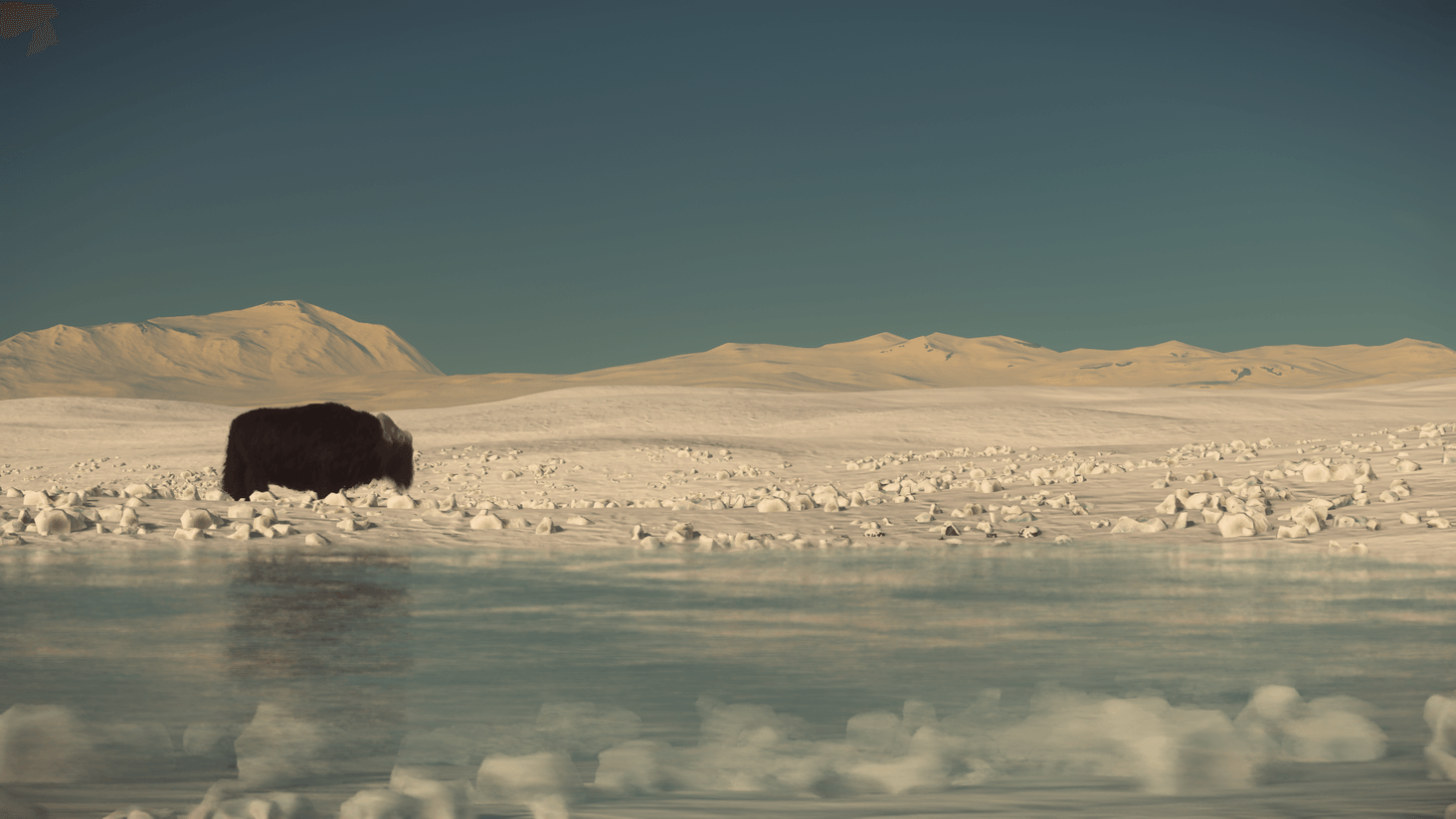 Lone quasigrazer at Frigid Knot, Bloom