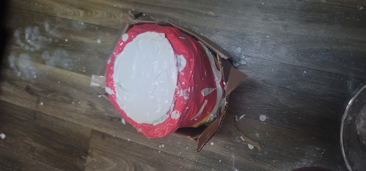 plaster casting of head