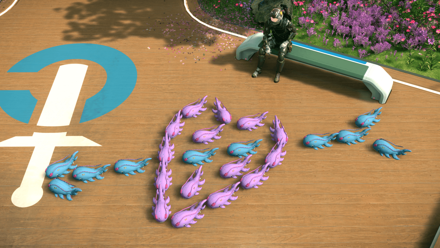 Come sit with me this Coramor (alternate angle)