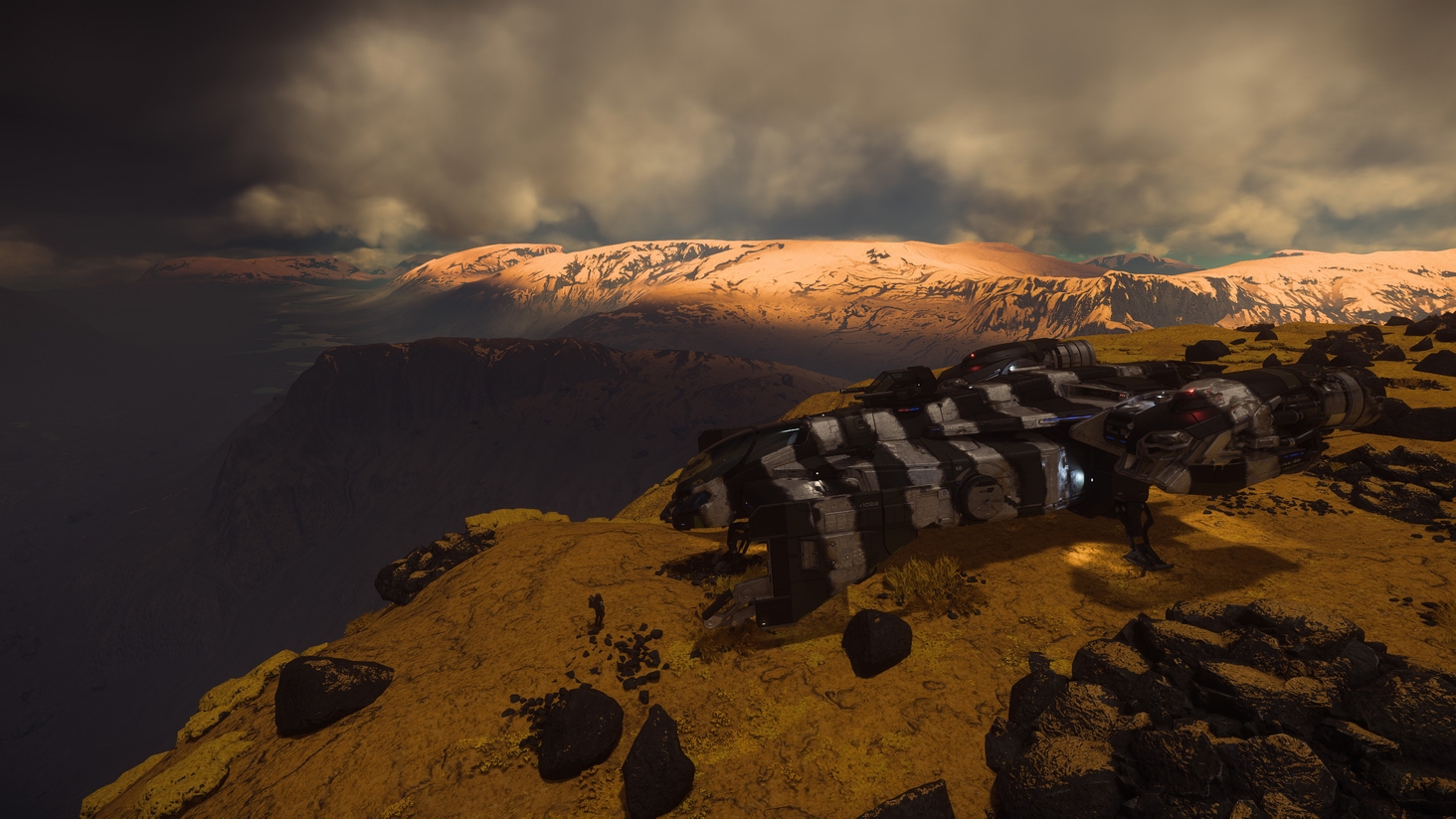 Cutlass Tiger looking for prey 