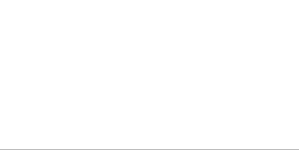 RSI-Logo weiß