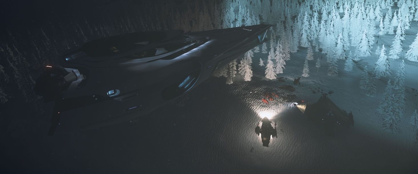 It all started when @Raytheon2 discovered a wrecked Freelancer with some cargo in the pine forest in front of New Babbage Interstellar Spaceport :) 