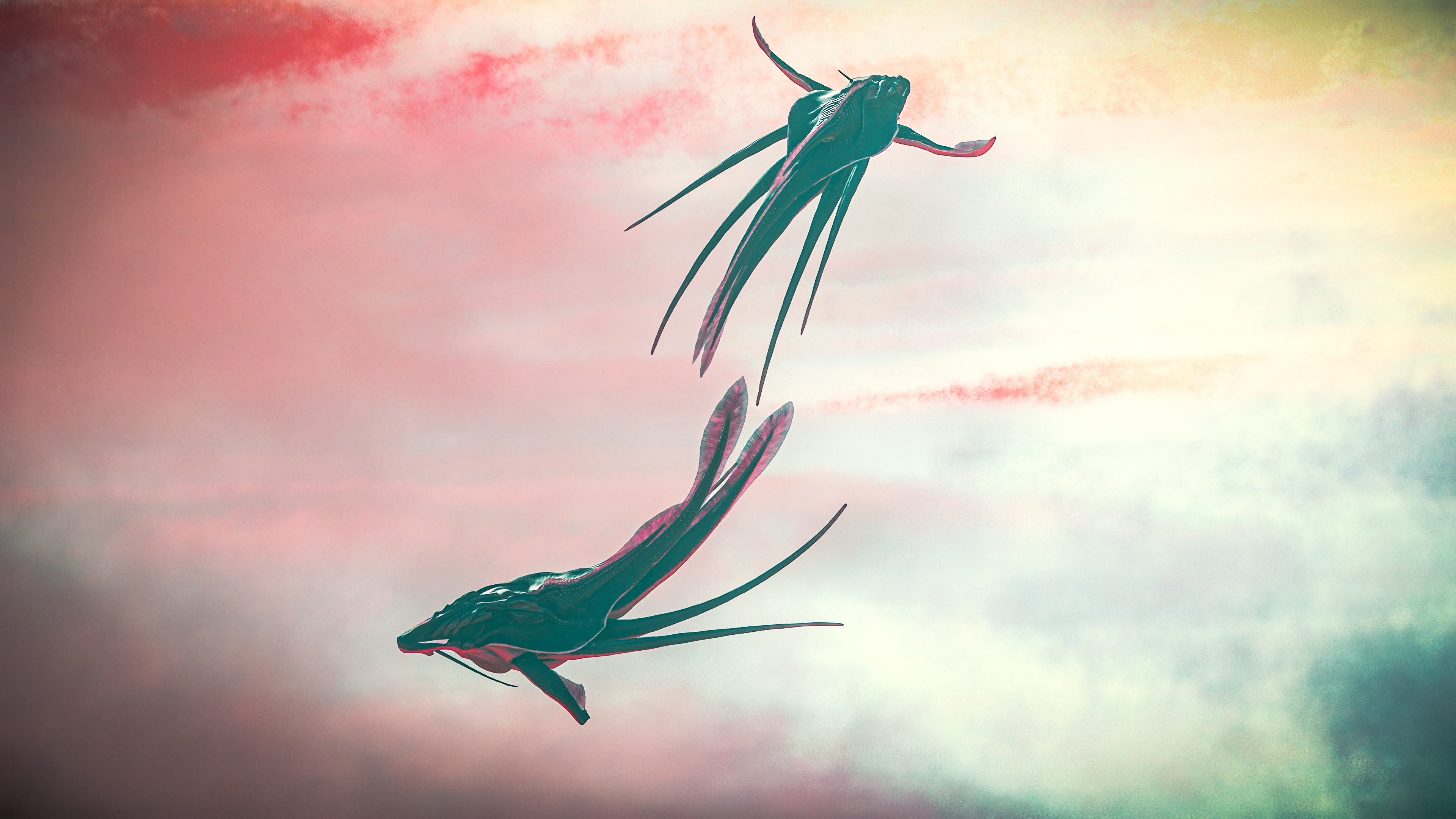 Free Whally by Thoruka