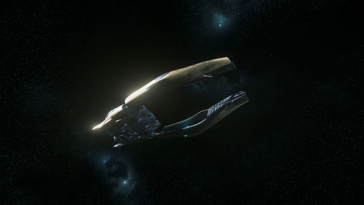 The crab in all its glory!