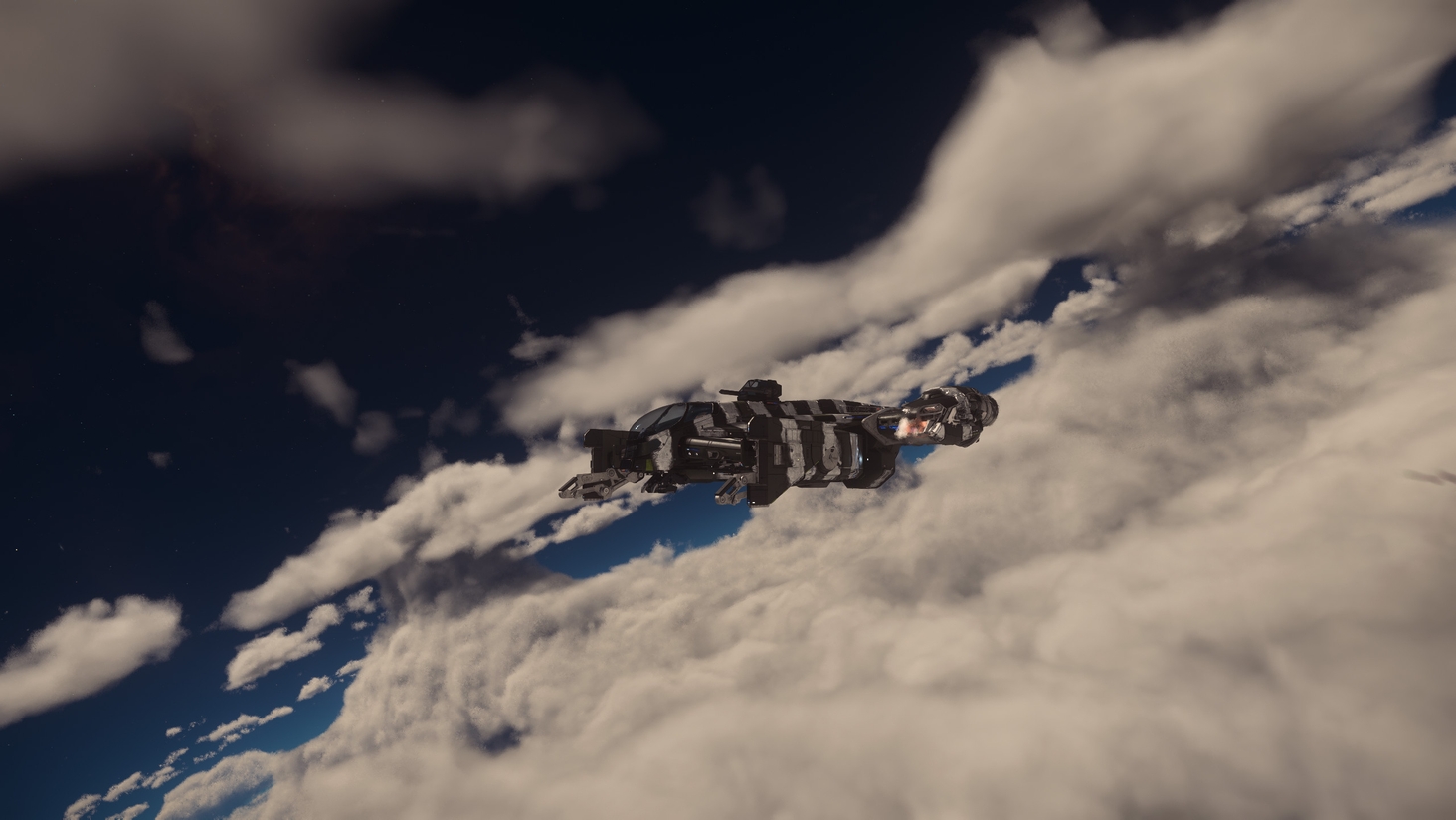 Cutlass Tiger looking for prey 