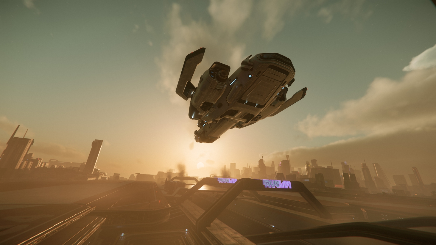 I have to check the landing gear - they sound like a rusty wicket.