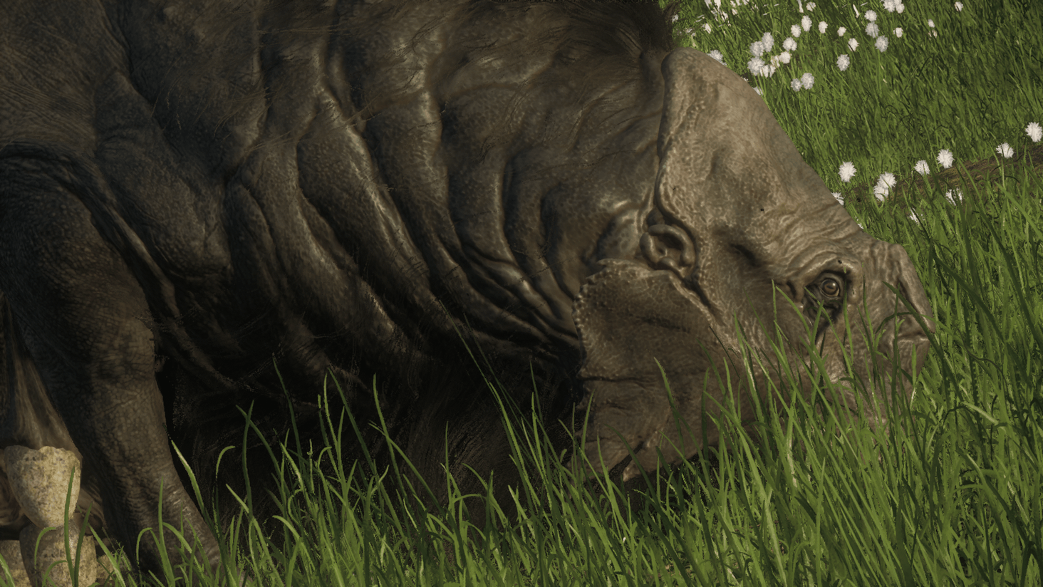 Quasigrazer closeup at mT