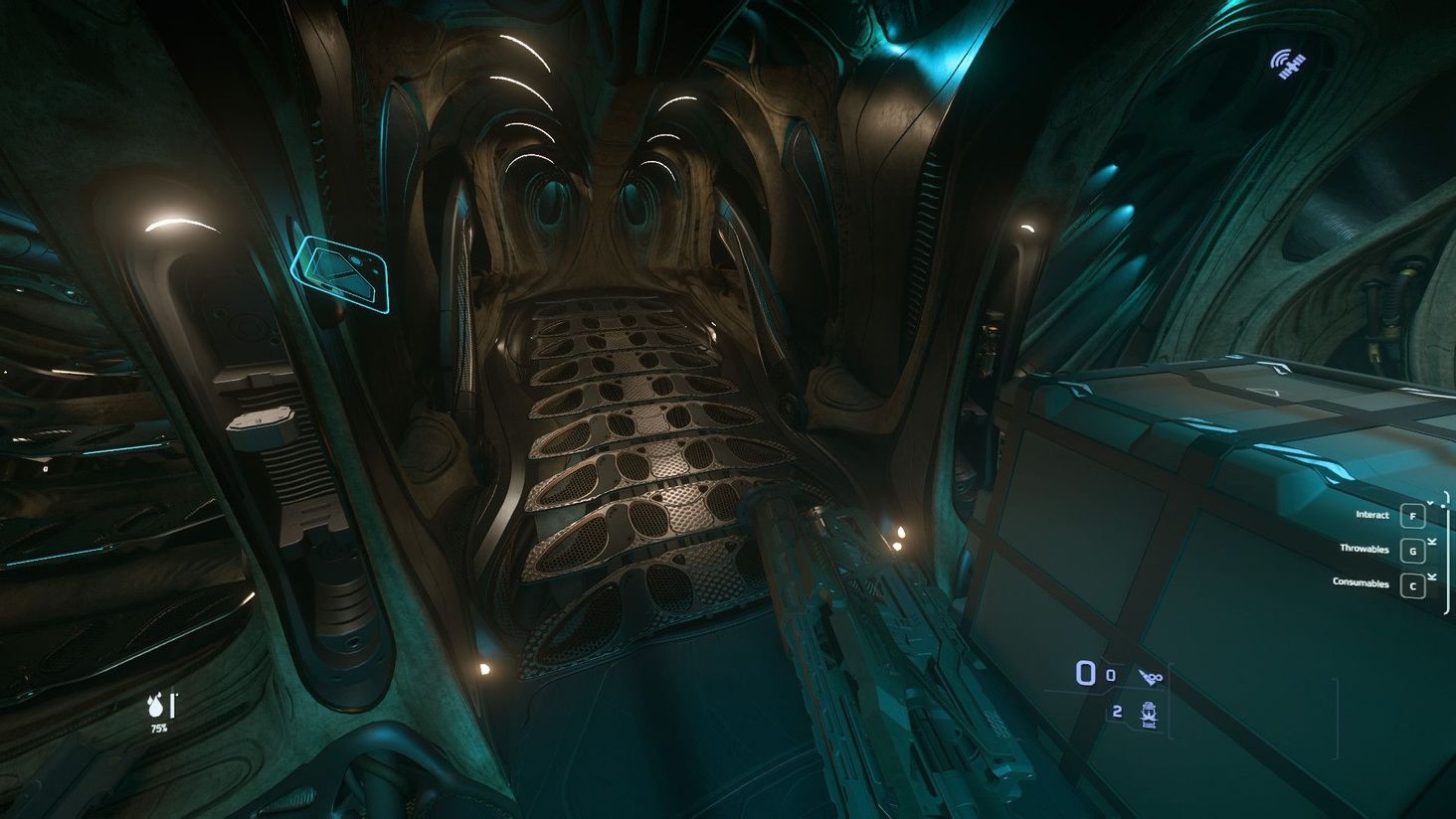 Space for guns and boxes, its hard to tell, but there are like 4 size 1 ship guns splayed out on the floor