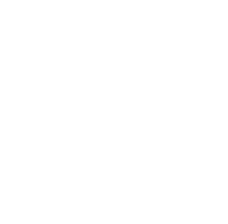 RSI-Logo-Navigation