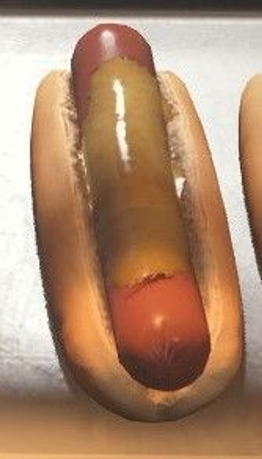 The In-Game Melty Dog