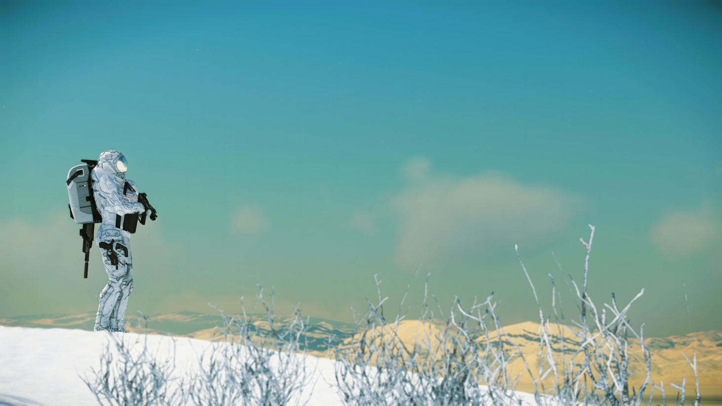 Snow covered adventures