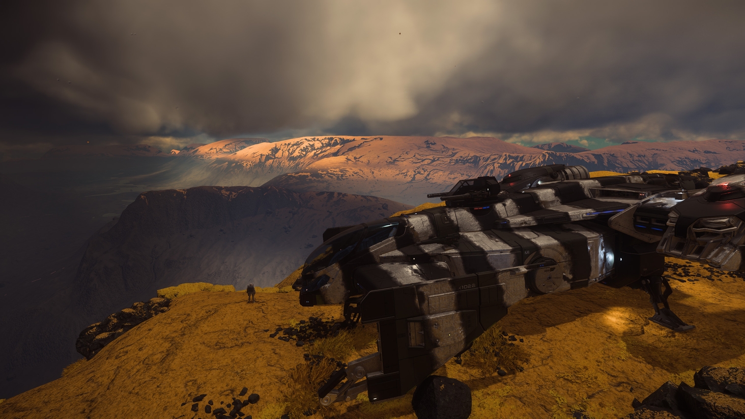 Cutlass Tiger looking for prey 